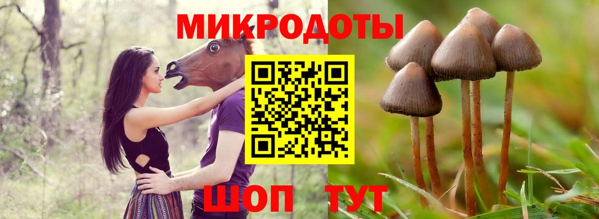 Галлюциногенные грибы Psilocybe  Псилоцибиновые грибы мухоморы  Вход с VPN  Рыбинск 